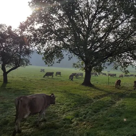 Roesslerhof Nachtweide * Schlier