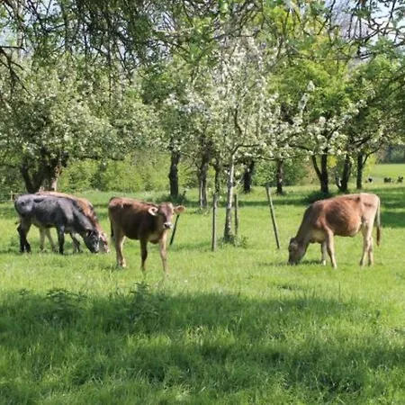 Roesslerhof Nachtweide * Schlier
